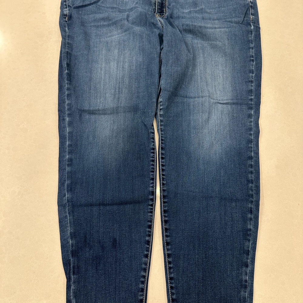 Lane Bryant Dark Blue Straight Leg Jeans